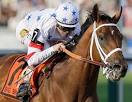 Big Brown Eyes Triple Crown - ABC News