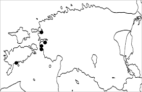 Attēlu rezultāti vaicājumam “Pertusaria flavida”