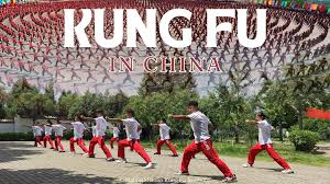Image result for kung fu