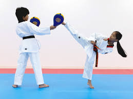 Image result for Taekwondo Athletes Program USA