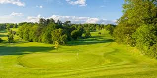 Image result for Alfreton Golf Club