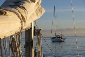 Image result for Channel Sailing Club