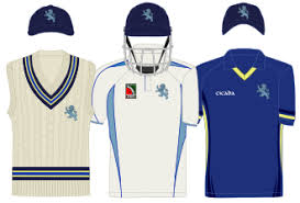 Image result for Chulmleigh & Mid Devon Cricket Club