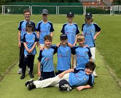 Image result for Alton Cricket Club