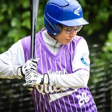 Image result for Norwich Iceni Baseball Club