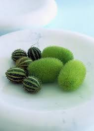 Attēlu rezultāti vaicājumam “Echinocystis lobata fruit”