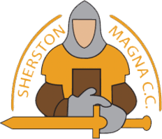 Image result for Chew Magna Cricket Club