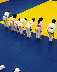 Image result for Kenshukai Karate