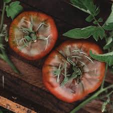 Afbeeldingsresultaat voor 1884 purple tomato