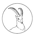Antelope coloring page