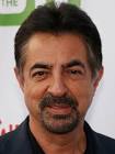 http://images.zap2it.com/images/celeb-32254/joe-mantegna-0.jpg