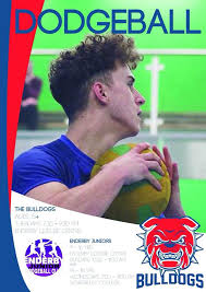 Image result for Enderby Dodgeball Club