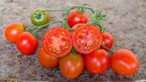 Afbeeldingsresultaat voor bloody butcher tomato