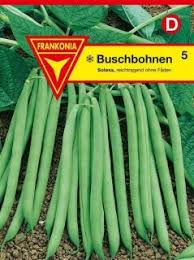 Image result for Buschbohnen