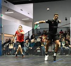 Image result for Sandown Park Squash Club
