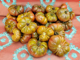 Afbeeldingsresultaat voor purple calabash tomato