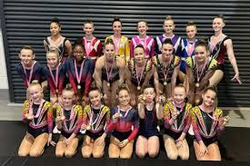 Image result for Basingstoke Gymnastics Club