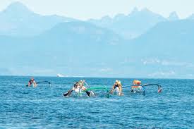 Image result for Axe Vale Canoe Club