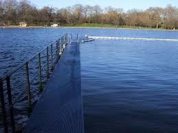Image result for Serpentine Swimming Club