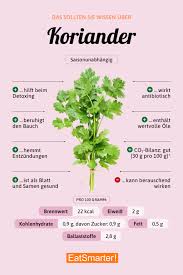 Image result for Koriander