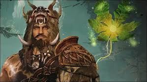 Image result for druid