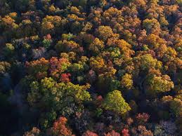 Image result for $$fall_akte__ort$$