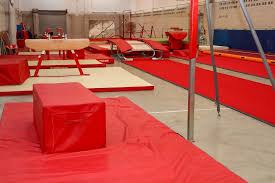 Image result for Kestrel Gymnastic Group