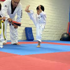 Image result for Imperial Karate Club
