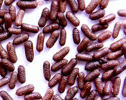 Attēlu rezultāti vaicājumam “Hypericum perforatum fruit”