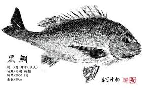 「魚拓」的圖片搜尋結果