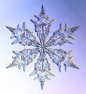 SNOWflake and SNOW Crystal Photographs