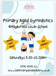 Image result for Fish trampoline and gymnastics club