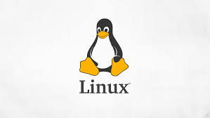 Image result for linux penguin