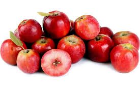 Attēlu rezultāti vaicājumam “Malus baccata fruit”