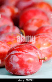 Attēlu rezultāti vaicājumam “Prunus domestica subsp. insitita fruit”