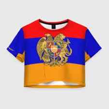 Image result for Футболка с флагом армении