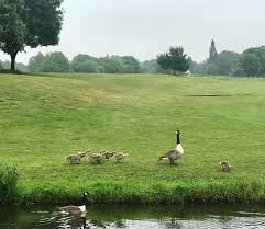 Image result for Hurtmore Badminton Club