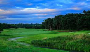 Image result for Central London Golf Club