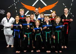 Image result for Phoenix Martial Arts