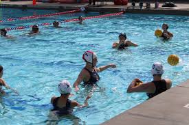 Image result for Invicta Water Polo Club