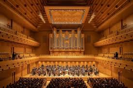 「多賀谷彩子 のだめカンタービレ」の画像検索結果