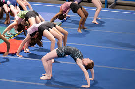 Image result for Haverfordwest Gymnastics Club