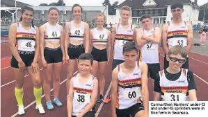 Image result for Pembrokeshire Harriers