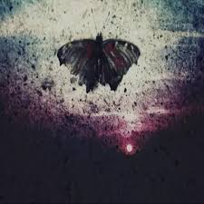 Image result for    Ȃ  