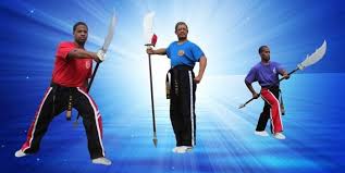 Image result for Arlington Martial Arts Academy