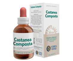 Attēlu rezultāti vaicājumam “Licea castanea sessile”