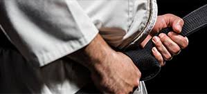 Image result for Hed Tkd (Dorking Tae Kwon-Do)