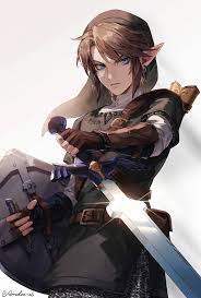 Image result for link twilight princess