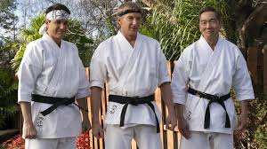 Image result for Inyo Karate Do Ninbukan