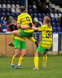 Image result for Haywards Heath Town Ladies Football Club